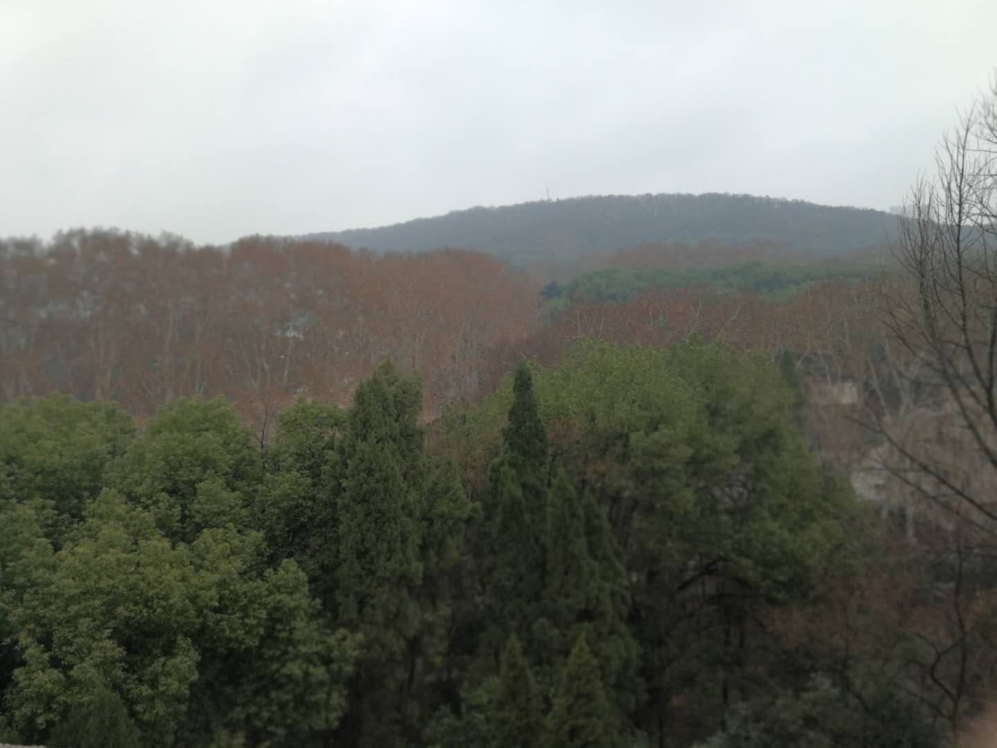 河南強(qiáng)力推進(jìn)垃圾分類 9月開工建設(shè)70余個(gè)餐廚廢棄物處理設(shè)施